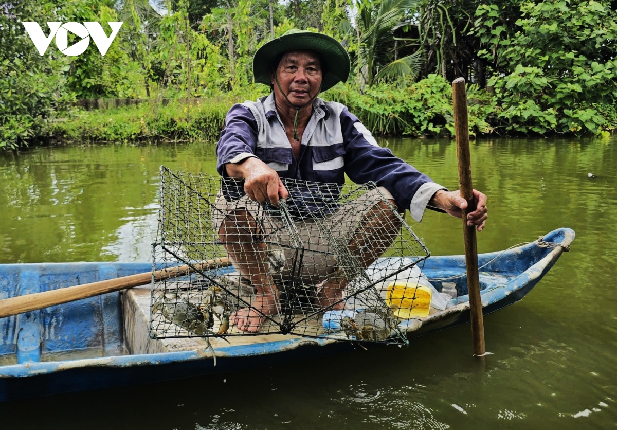 Tỉnh Cà Mau đứng đầu cả nước cả về diện tích và sản lượng cua.