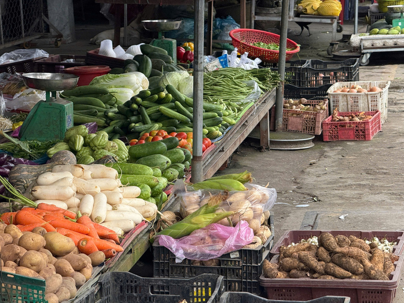 Nguồn cung thâm hụt khiến chi phí đầu vào tăng cao. Ảnh: Minh Anh