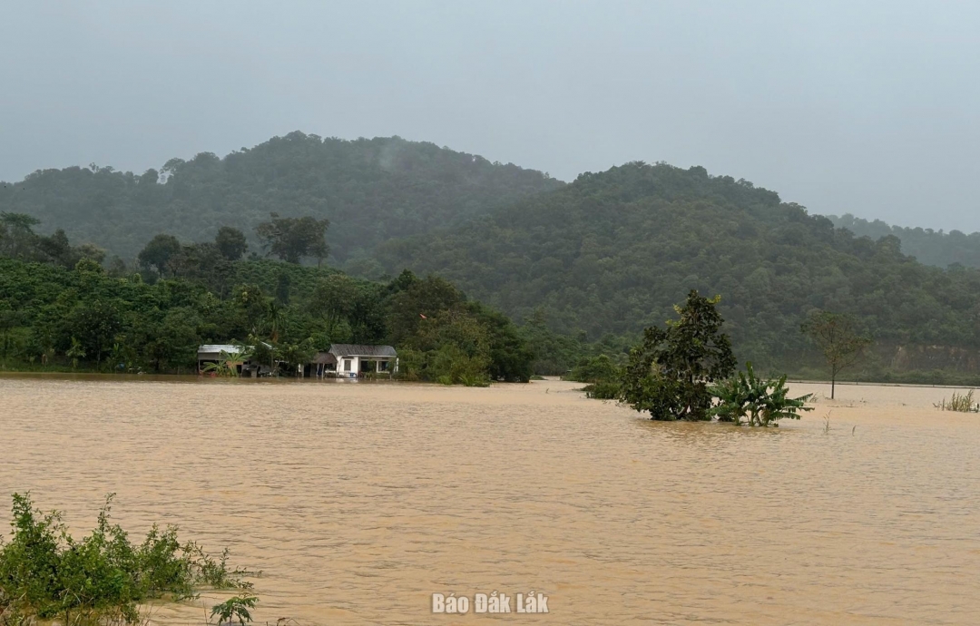 Nhiều khu vực ở thôn Buôn Triết, xã Dur Kmăl bị cô lập do nước lũ dâng cao. Ảnh: Vân Anh