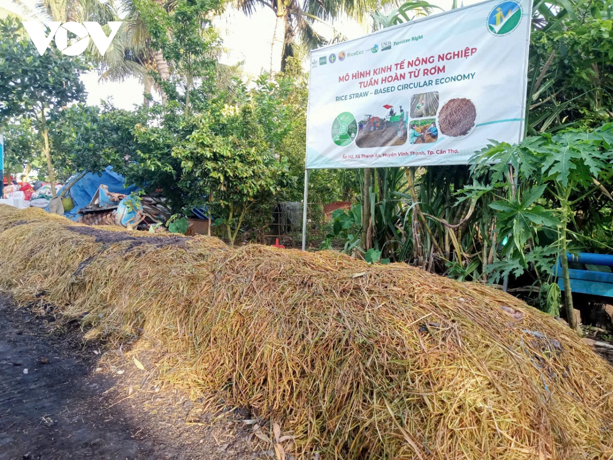 Sau khi thu hoạch xong, rơm được đưa ra khỏi đồng ruộng