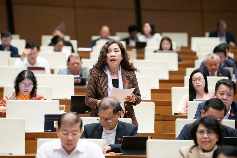 Đại biểu Trần Thị Hiền - đoàn Ninh Bình