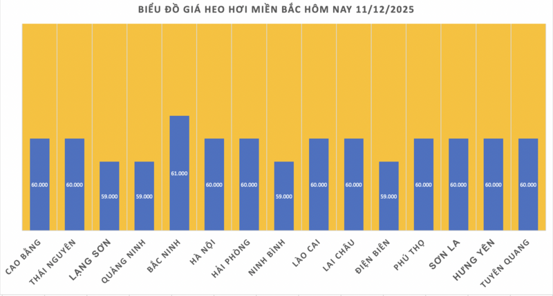 Giá heo hơi hôm nay 11/12/2025: Tăng trở lại - 1