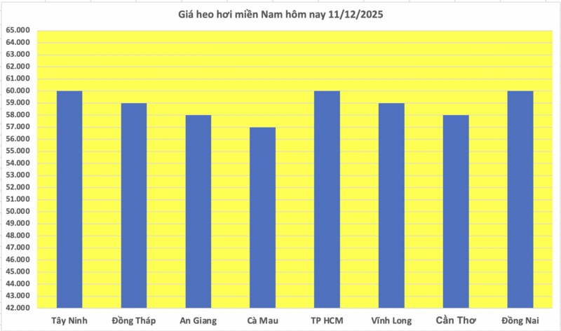 Giá heo hơi hôm nay 11/12/2025: Tăng trở lại - 3