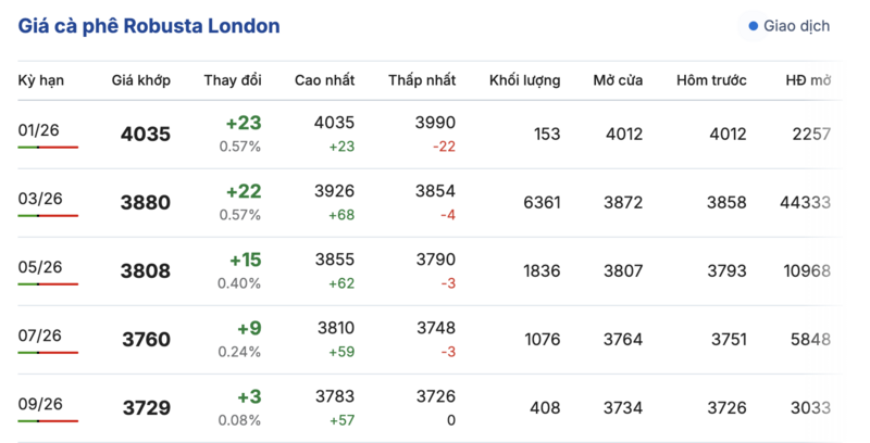 Giá cà phê hôm nay 30/12/2025: Quay đầu giảm mạnh - 1
