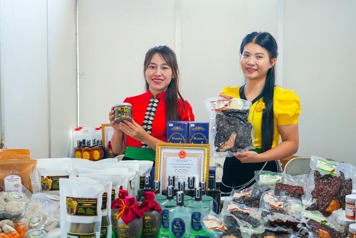 Sơn La sẽ triển khai nhiều hoạt động xúc tiến thương mại trong năm 2026. Ảnh: Hà An