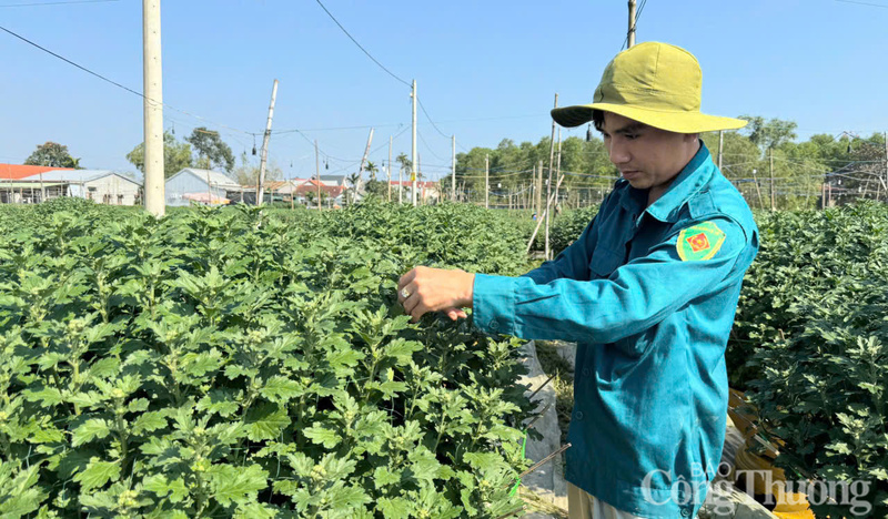 Tỉa bớt những nụ hoa dư, yếu chỉ giữ lại những nụ hoa chính, chồi mạnh, đảm bảo hoa ra đều và đẹp.