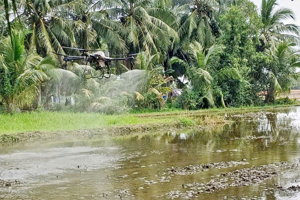 Máy bay không người lái của HTX Nông nghiệp Rạch Lọp phun thuốc xử lý đất đầu vụ sản xuất.
