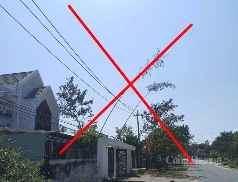 PC Gia Lai khuyến cáo người dân không dựng cây nêu gần hành lang an toàn lưới điện cao áp trong dịp tết Nguyên đán.