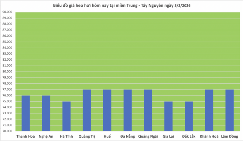 Giá heo hơi hôm nay 3/2/2026: Giảm mạnh trên cả nước - 2
