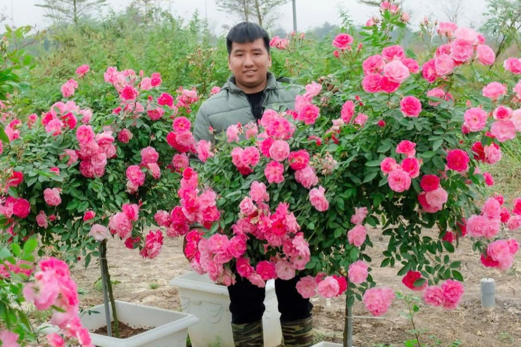 Nông dân trẻ Lê Văn Cả