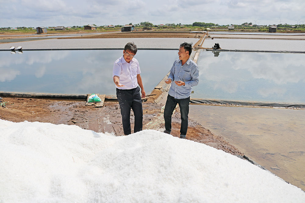 “Muối biển trắng sạch” trên cánh đồng muối xã Bảo Thạnh.