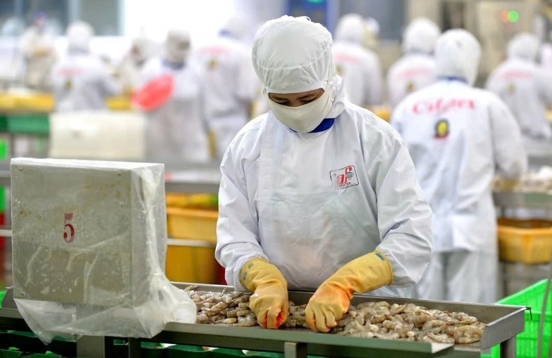 EU bắt đầu triển khai hàng loạt thay đổi trong chương trình chứng nhận khai thác thủy sản, trong đó hệ thống CATCH trở thành công cụ bắt buộc đối với nhà nhập khẩu.