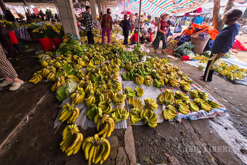 Tại các khu chợ truyền thống như chợ Hà Tĩnh (phường Thành Sen) và chợ Hội (xã Cẩm Xuyên), từ sáng sớm, các tiểu thương đã tất bật bày biện hàng hóa.