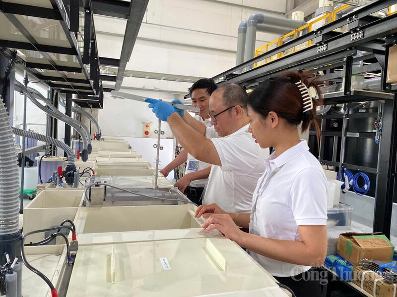 Hoạt động sản xuất của doanh nghiệp tại Khu công nghiệp hỗ trợ Nam Hà Nội (HANSSIP). Ảnh: Nguyễn Hạnh