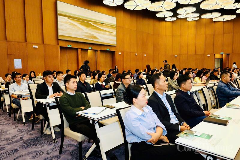 Doanh nghiệp xuất nhập khẩu trên địa bàn TP. Hải Phòng tham dự hội nghị.