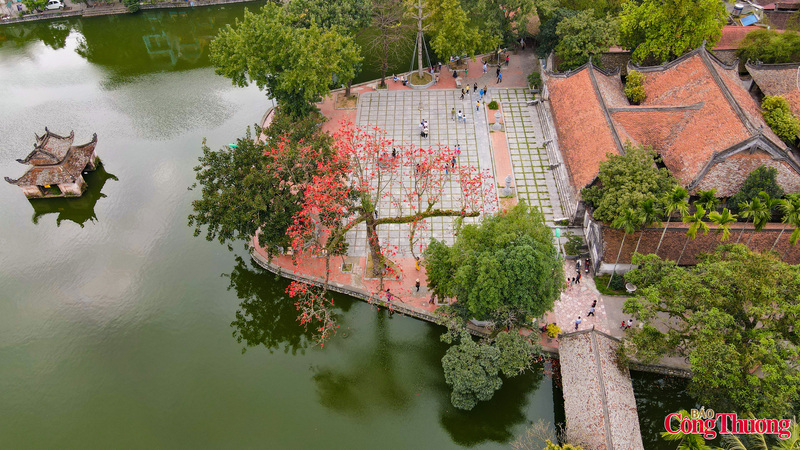 Cây hoa gạo ở Chùa Thầy (xã Quốc Oai, Hà Nội) nở hoa rực rỡ, làm nên nét đẹp rất riêng trong không gian ngôi chùa cổ kính.