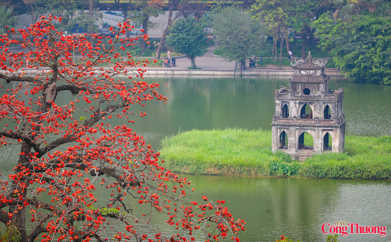 Hoa gạo còn gọi là mộc miên, hay pơ lang. Hoa nở xòe 5 cánh lớn, dày, màu đỏ tươi sau chuyển dần đỏ thẫm. Loài hoa được nhắc nhiều trong câu ca dân gian như “Tháng ba đom đóm bay ra, hoa gạo rụng xuống thì tra hạt vừng”; hoặc “Bao giờ cho đến tháng 3/Hoa gạo rụng xuống bà già đắp chăn”.