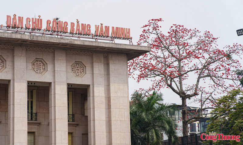 Chẳng ai có thể làm ngơ được trước vẻ đẹp rực rỡ của hoa gạo. Màu sắc đỏ rực bừng sáng cả một khoảng trời mùa hạ khiến lòng người bồi hồi mê đắm.