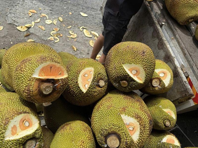 Đối với nhà vườn, Hiệp hội cũng đưa ra nhiều khuyến nghị cụ thể nhằm đảm bảo chất lượng sản phẩm. Ảnh: Minh Anh