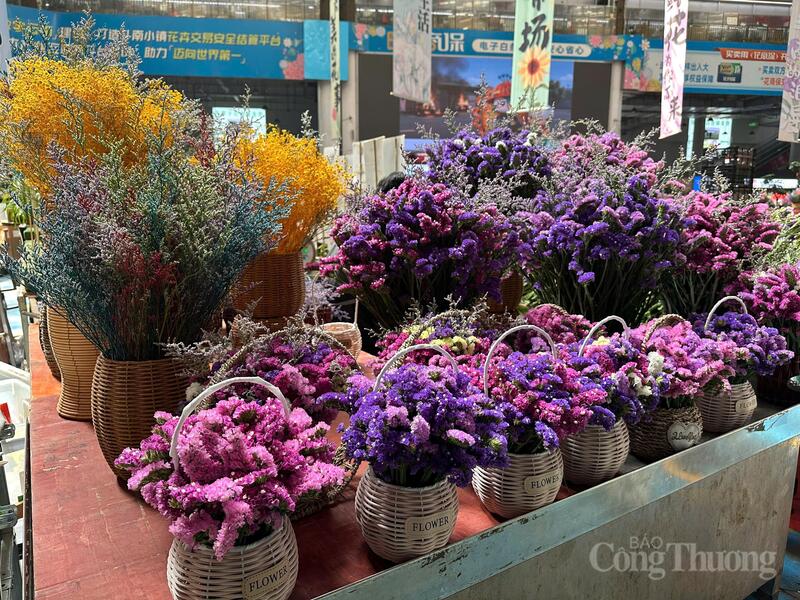 Chợ đã trở thành “kim chỉ nam thị trường” và “biểu đồ thời tiết giá cả” của ngành hoa Trung Quốc. “Hoa Trung Quốc nhìn vào Vân Nam, hoa Vân Nam nhìn vào Đẩu Nam” đã trở thành khẩu hiệu nổi tiếng trong ngành.