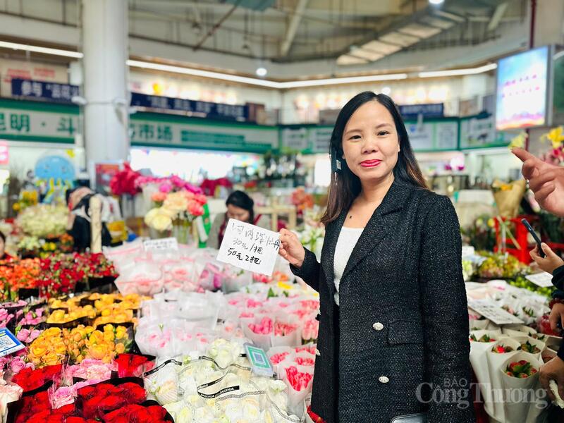 Hoa hồng Việt Nam cũng được bán tại Chợ hoa Đẩu Nam.