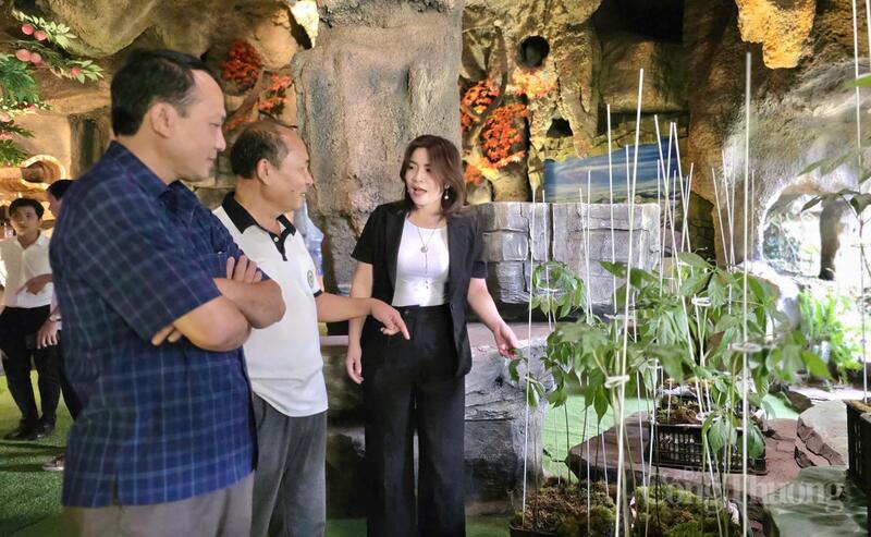 Các đại biểu tham quan khu trưng bày của Công ty TNHH Phát triển Khoa học Quốc tế Trường Sinh.