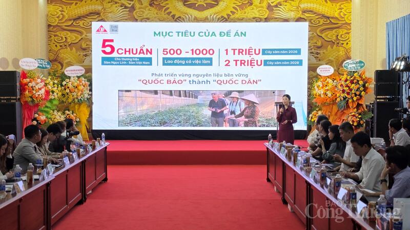 Bộ tiêu chí “5 chuẩn sâm Việt Nam”.