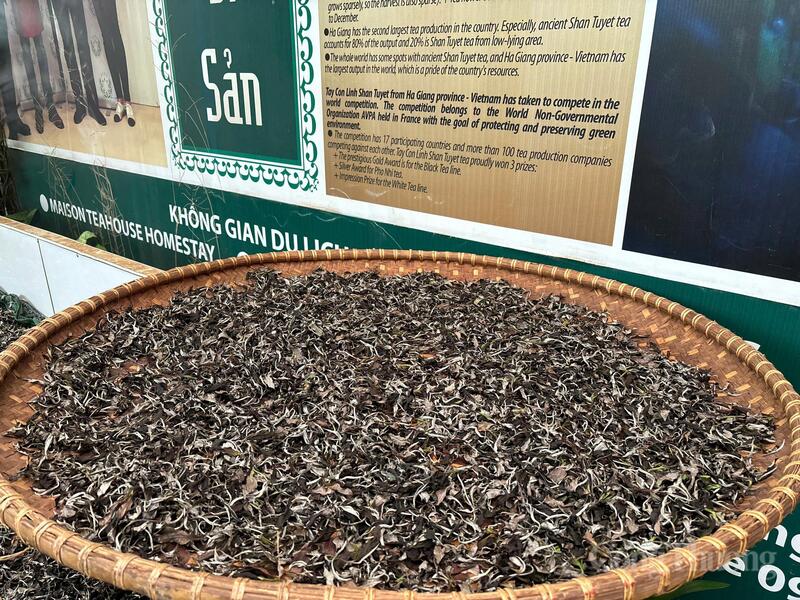 Những búp chè Shan tuyết đang được phơi khô. Ảnh: Lê Hà