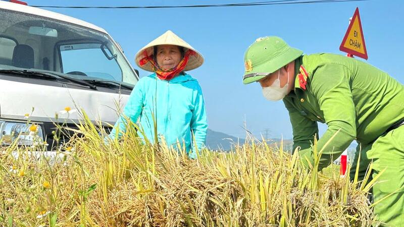Tại xã Cẩm Lạc (Hà Tĩnh), các cán bộ, chiến sĩ thuộc Công an xã được huy động để khẩn trương hỗ trợ bà con nhân dân thu hoạch lúa.