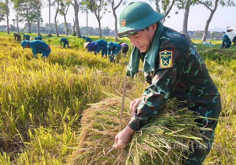 Hình ảnh những chiến sĩ lội ruộng, cùng người dân gặt lúa sau dông lốc đã để lại ấn tượng đẹp, góp phần lan tỏa tinh thần tương thân tương ái, thắt chặt tình quân với dân.