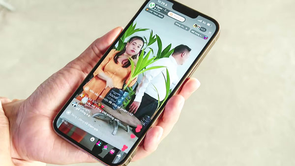 Các phiên livestream, quảng bá cây giống trên nền tảng số giúp mở rộng thị trường tiêu thụ.