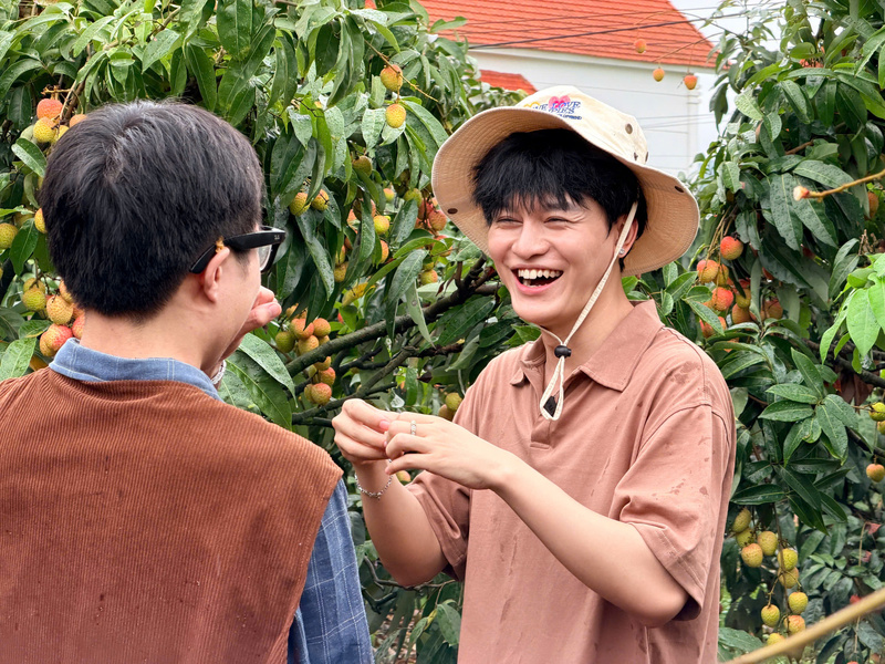 Tổng diện tích vải toàn tỉnh hiện đạt khoảng 29.800 ha. Tỉnh tiếp tục chú trọng phát triển sản xuất theo tiêu chuẩn an toàn và phục vụ xuất khẩu. Hiện nay, diện tích sản xuất theo tiêu chuẩn VietGAP đạt khoảng 17.500 ha, chiếm gần 59% diện tích toàn tỉnh; diện tích sản xuất theo tiêu chuẩn GlobalG.A.P đạt 255 ha. Ảnh: TT