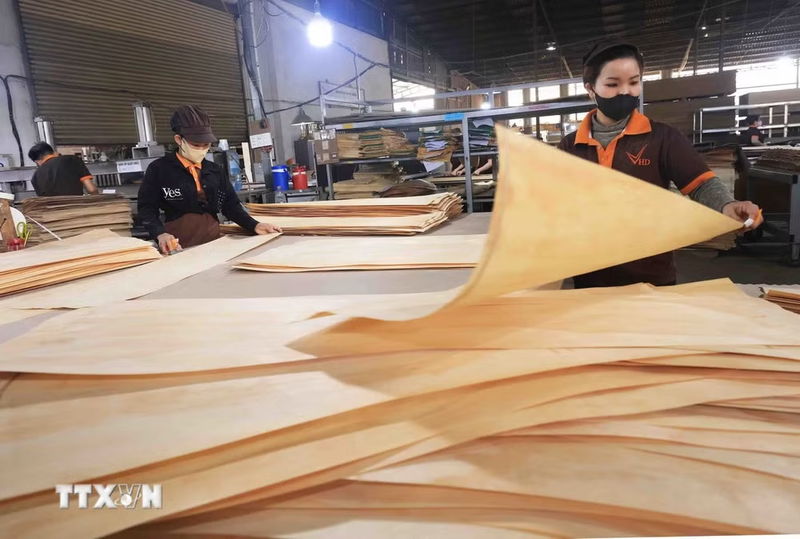 Sản xuất ván gỗ MDF xuất khẩu sang thị trường Thái Lan ở Công ty TNHH xây dựng và sản xuất MDF Hải Dương, Thành phố Hồ Chí Minh (Ảnh: Vũ Sinh/TTXVN)