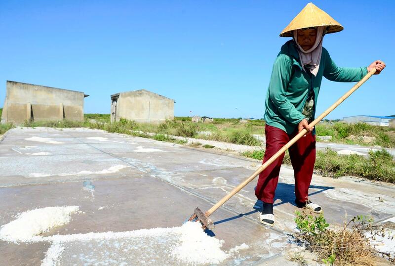 Giữa trưa, khi mặt trời như đổ lửa xuống cánh đồng, nhiều diêm dân vẫn chưa thể nghỉ tay. Tiếng cào muối xào xạc hòa cùng tiếng gió biển tạo nên nhịp lao động quen thuộc của vùng quê ven biển. Ảnh: Quốc Anh