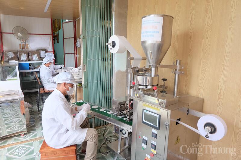 Khuyến công tạo đòn bẩy cho sản phẩm cà gai leo Điện Biên - 3