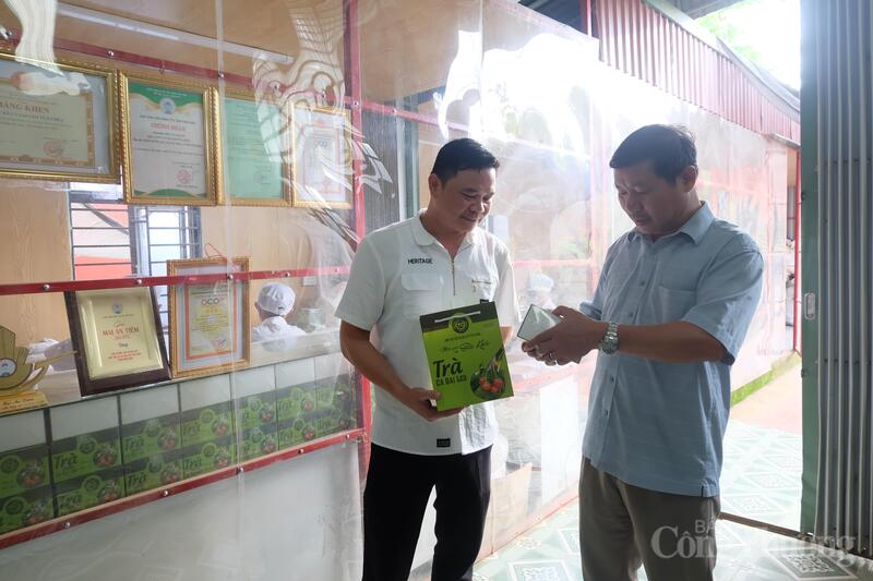 Sản phẩm trà túi lọc của HTX Cà gai leo Tủa Chùa đã được công nhận OCOP 3 sao, mở ra cơ hội phát triển theo hướng hàng hóa chất lượng cao.