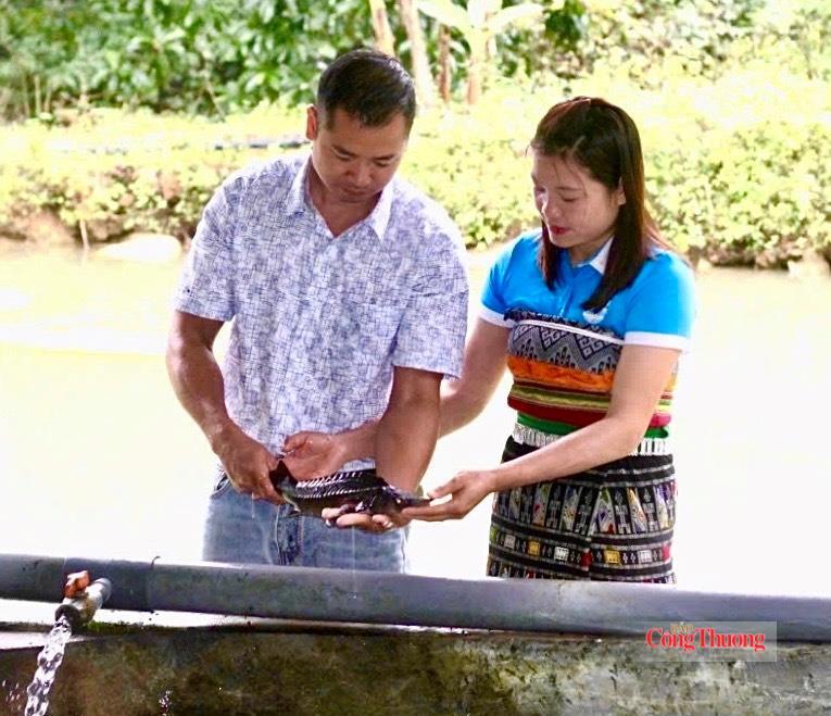Ngoài việc nuôi cá tầm thương phẩm, chị Lương Thị Lực còn nuôi cá tầm giống cung cấp cho các hộ dân trong vùng và khu vực lân cận. Ảnh: Quốc Anh