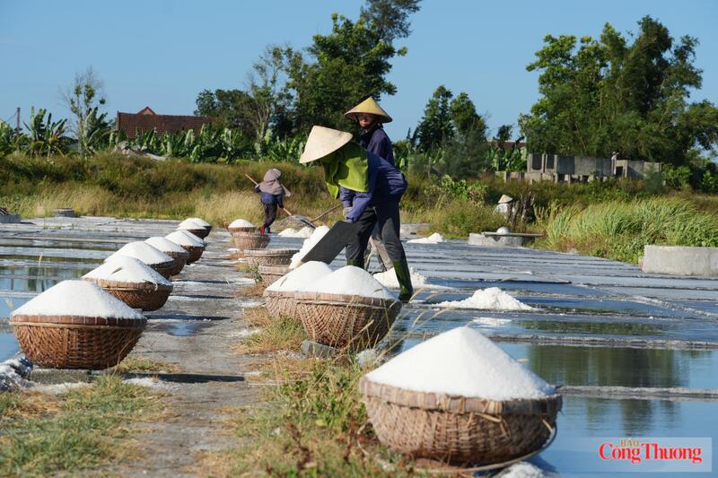 Khi được hỏi về lý do vì sao thu nhập thấp nhưng vẫn bám trụ với nghề, ông Toàn thở dài, nhìn xa xăm. “Nghề của cha ông để lại mấy đời rồi, giờ bỏ thì thương mà vương thì tội. Còn sức thì còn làm, chứ nhìn đồng nại bỏ hoang xót ruột lắm”, ông Toàn than thở.
