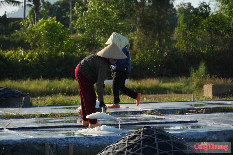 Dù thu nhập bấp bênh, những người lao động cao tuổi nơi đây vẫn ngày ngày miệt mài sản xuất, giữ cho những ô nại luôn trắng loang loáng nước biển.