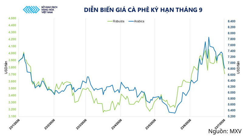Diễn biến giá cà phê kỳ hạn tháng 9