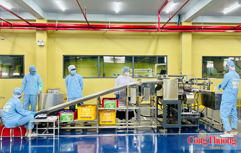 Dây chuyền sản xuất cà phê tại Gia Lai.