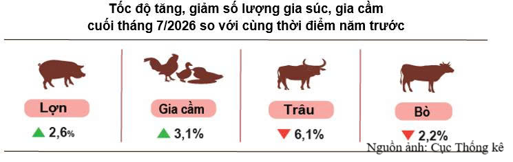Sản xuất nông, lâm nghiệp duy trì ổn định trong 7 tháng đầu năm 2026 - 2