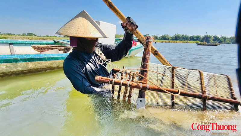 Khi thấy đủ nặng thì kéo gàu lên, rửa sơ bằng nước sông rồi đổ don vào ghe