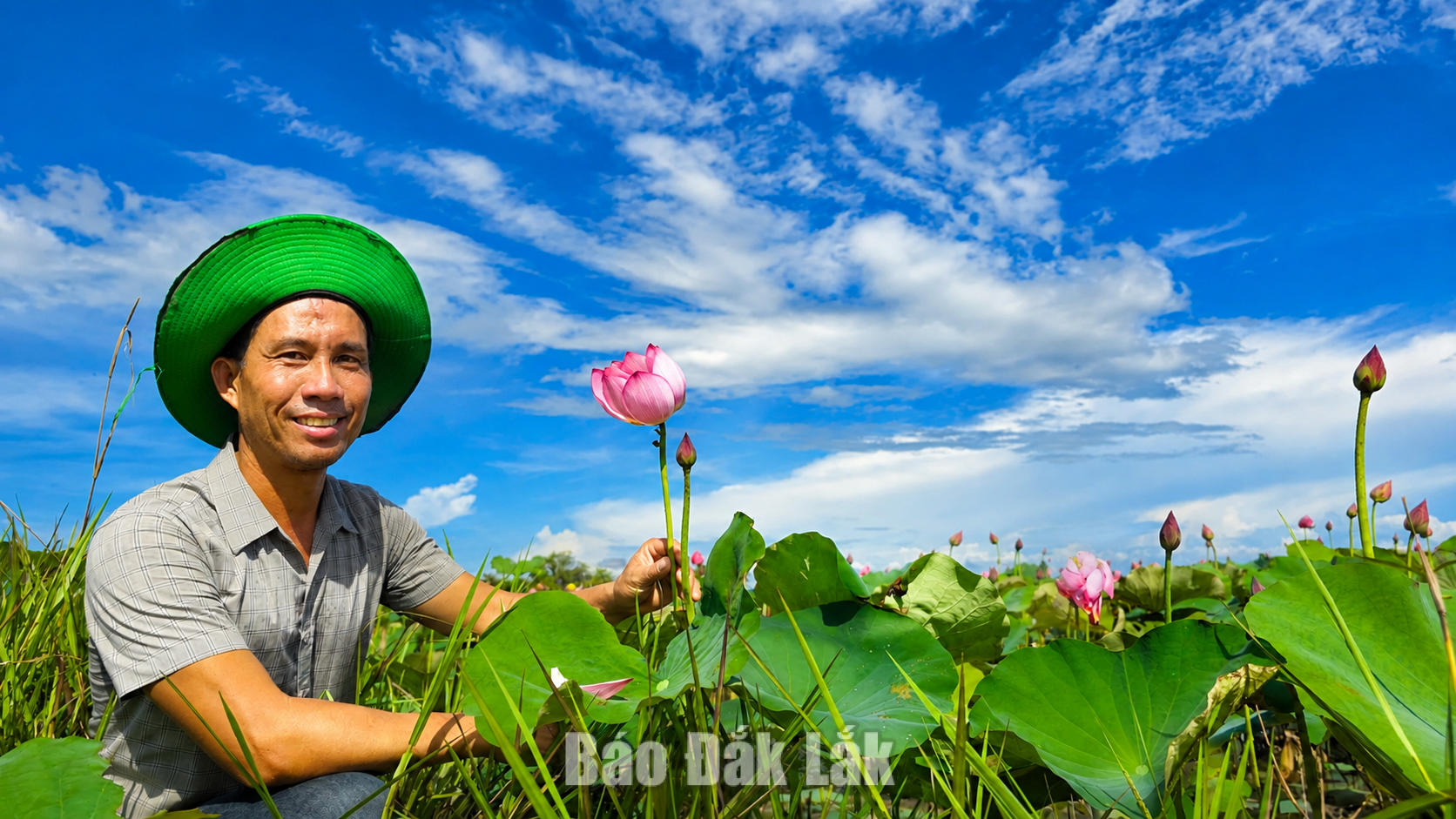Anh Phạm Văn Hảo (thôn 3) có 1 ha đất trồng sen.