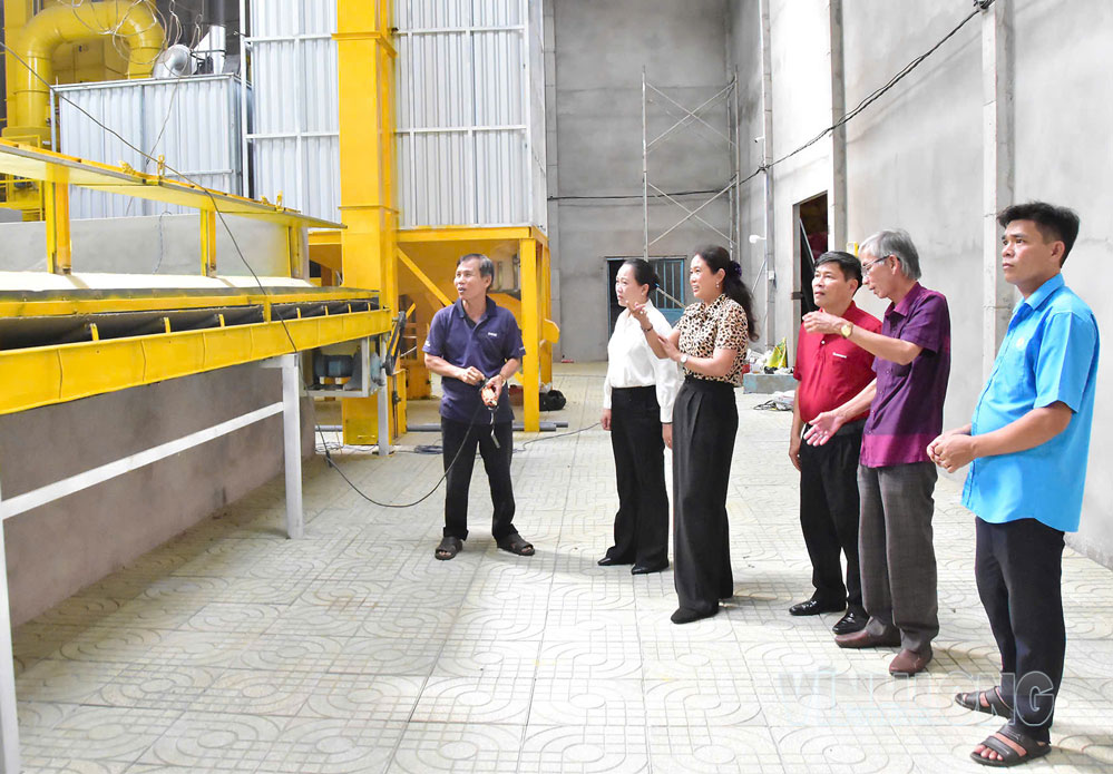 Đại biểu tham quan dây chuyền sản xuất lúa giống và hệ thống sấy lúa của HTX nông nghiệp Phát Tài.