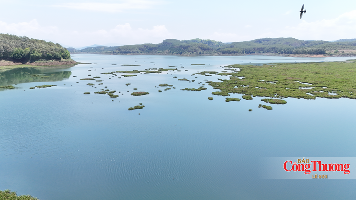 Hồ Thủy điện Đại Ninh, xã Ninh Gia, tỉnh Lâm Đồng.