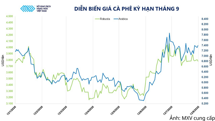 Diễn biến giá cà phê kỳ hạn tháng 9