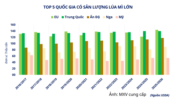 Top 5 quốc gia có sản lượng lúa mì lớn