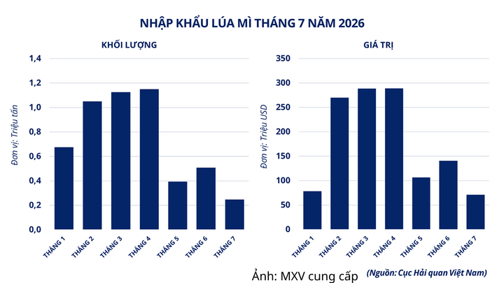 Nhập khẩu lúa mì tháng 7/2026