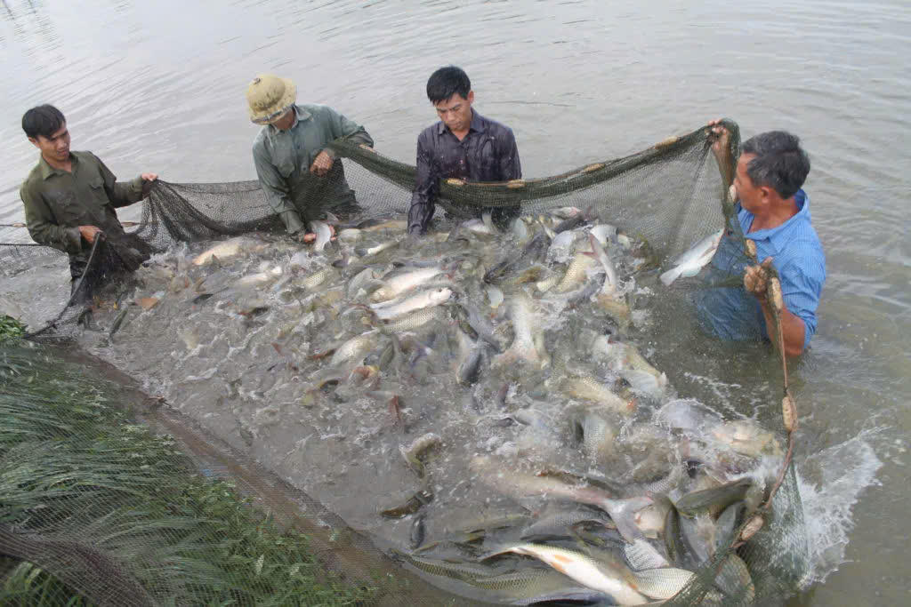 Người dân Diễn Châu tiếp cận nguồn vốn tín dụng chính sách để đầu tư sản xuất, phát triển kinh tế.